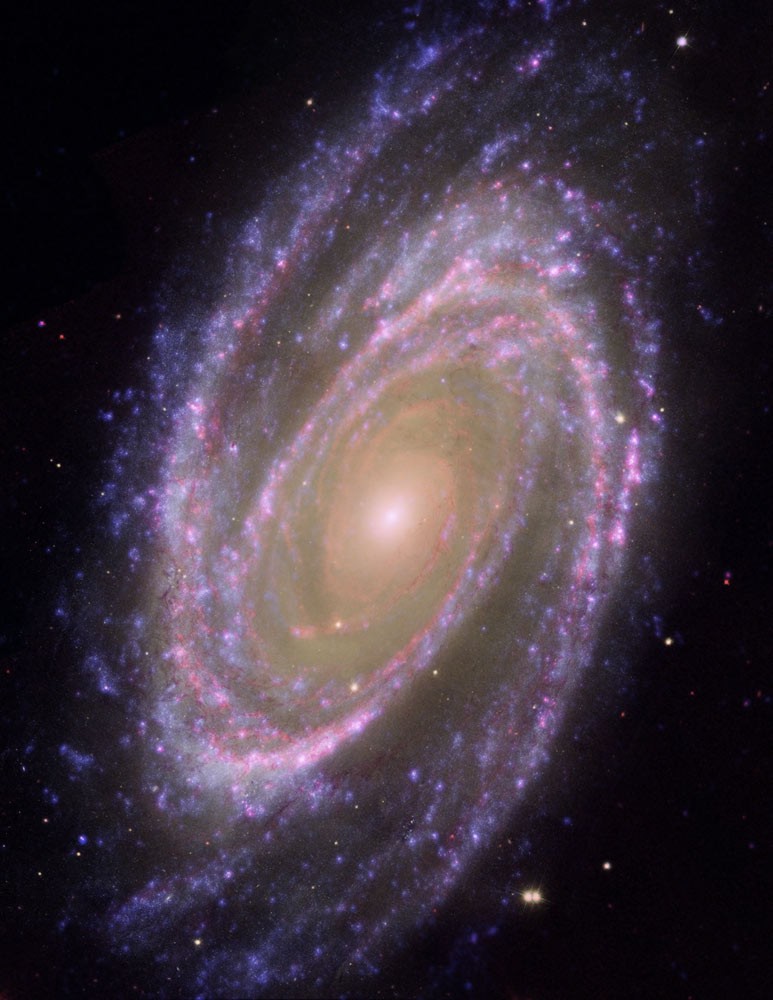 m81