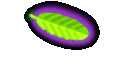 Courses