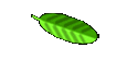 Courses