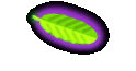 Egyptian Oils