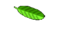 Magazine adverts