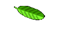 Paper books