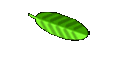 Scented candles