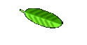 Subscriptions world