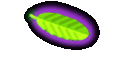 cds