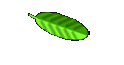 cds