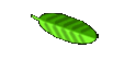 courses