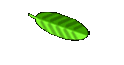 magazineworld