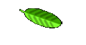 paperbooks
