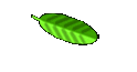 scented oils